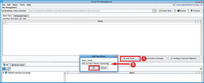 X12 EDI Interface - Create a new Route or interface