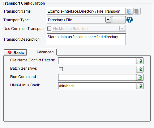  Advanced Configuration Options for Directory or File B2B Adapter