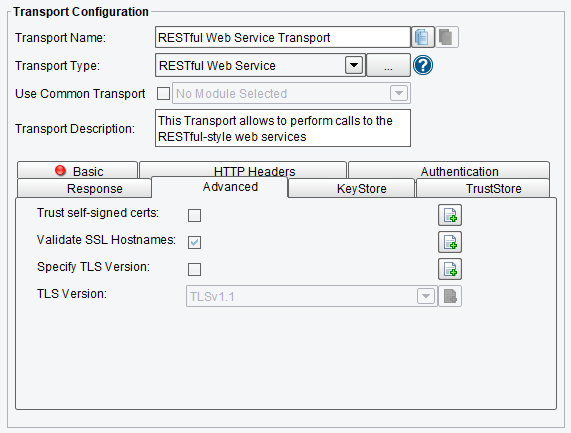 RESTful Web Services Advanced Configuration Options