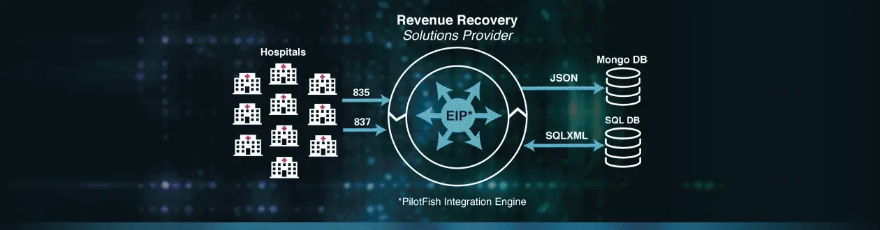 Revenue Recovery for Hospital Case Study