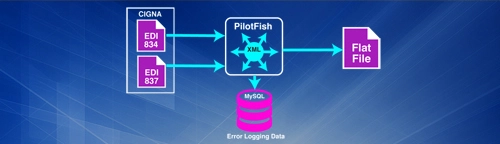 Automated healthcare EDI claims and eligibility data case study