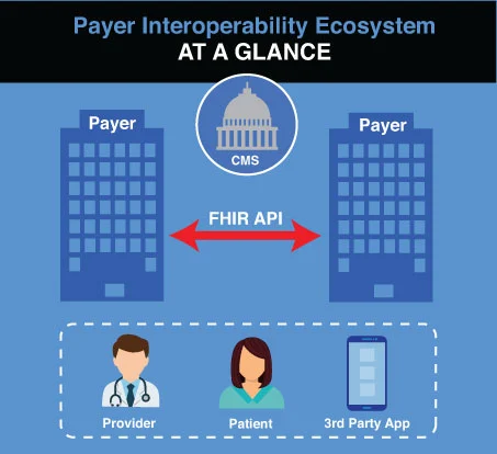 CMS payer-to-payer overview showing FHIR API exchange between payers with provider, patient and 3rd-party app