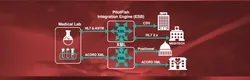 Large-Scale Laboratory Interoperability Integration